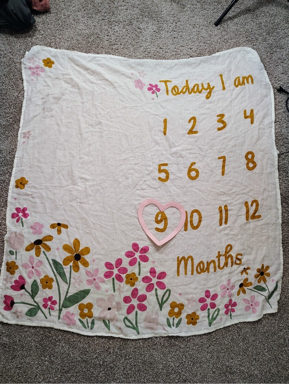 Gerber Modern Moments Floral Monthly Baby Milestone Blanket & Frame Set 12 Month
